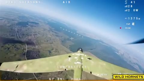 🦅💥 "Wild Hornets" drones successfully shoot down Russian reconnaissance UAVs.