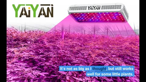 ‎CHVEGLUZ 2000W LED #GrowLight Full Spectrum Plant-Overview