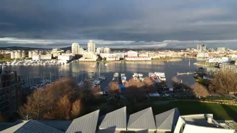 Gorgeous Inner Harbour Condo