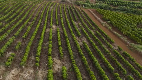 How make coffee made