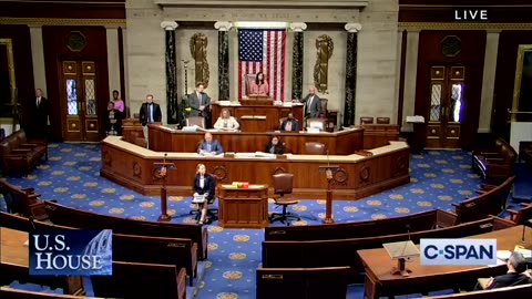 Rashida Tlaib literally breaks down in tears over being removed from the Foreign Affairs Committee.