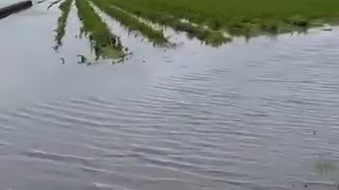 Aspergeveld bij A73 onder water door chemtrails en HAARP.