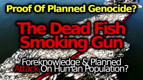 Whales Dying In Huge Numbers: Smoking Gun Of Food Supply Attack Genocide?! Govt Caught Poisoning!