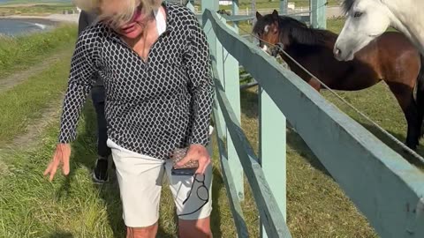 Barb Touches an Electric Fence