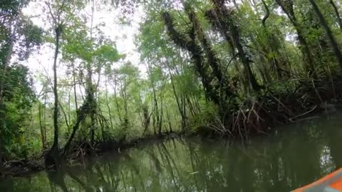 Viaje a Juanchaco, Buenaventura, Colombia Agosto 20 a 22 de agosto 2022 Avistamiento Ballenas p78