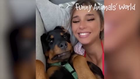 funny animal video