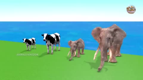 Animals Running Race with Elephant, Mammoth, Tiger, Gorilla, Horse, Cow, Zoo Animals, Wild Animals