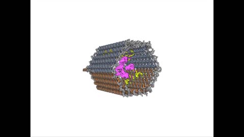 A CELL -TARGETED PAY- LOAD -DELIVERING DNA 🧬 NANOROBOT