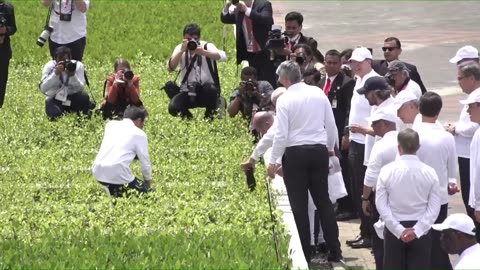 G20 Leaders visit Mangrove Forest in Indonesia