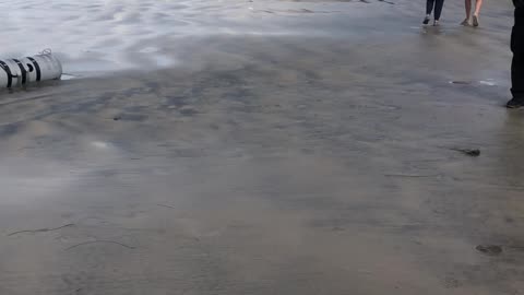 Tech Washes Up on Public Beach