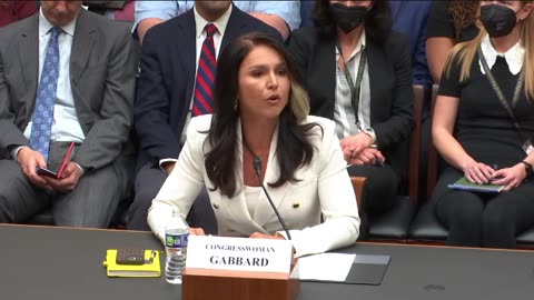 Tulsi Gabbard: "We have individuals in our government often working through their arms in the mainstream media and big tech ... trying to control what we the people are allowed to see and say under the guise of protecting us from so-called 'misi