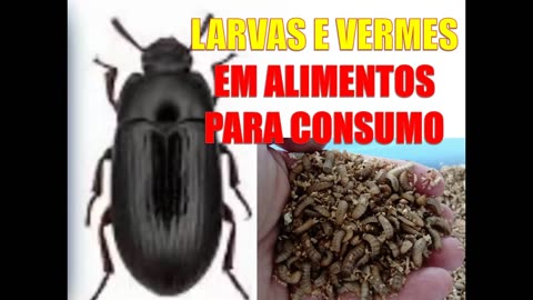 LARVAS E VERMES EM ALIMENTOS PARA CONSUMO