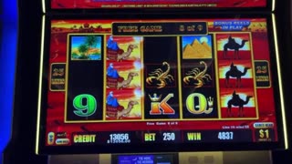 MASSIVE $250 BETS MASSIVE JACKPOTS