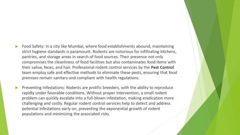 The Benefits of Rodent Control Services in Mumbai to Keep the City Safe