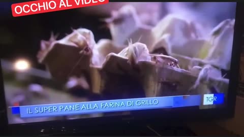 IL COMMENTO AL VIDEO | Mi risulta che da più parti si nega ..