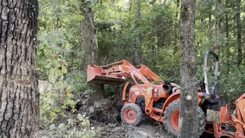 Big tree removal with Kubota L2501