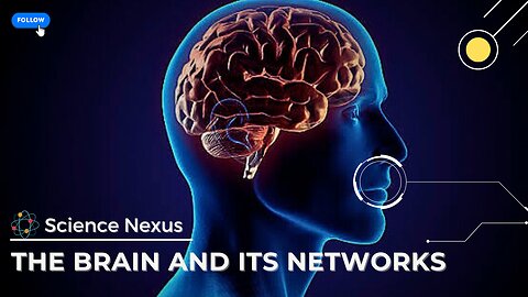 The Brain and its networks