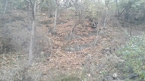 A Small Challenge - A Steep hill, Rain, Wet Leaves And Rocks, Downed Trees.