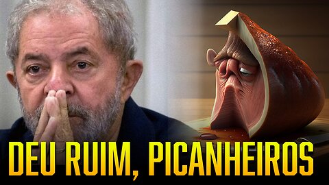 Mula já pode ser investigado! 😂 Nada mudou! A turma da picanha já tá lamentando