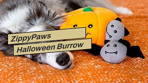 ZippyPaws Halloween Burrow Interactive Dog Toys - Hide and Seek Dog Toys and Puppy Toys, Colorf...