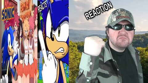 Sonic Reacts To Sonic Goes To Femboy Hooters REACTION!!! (BBT)