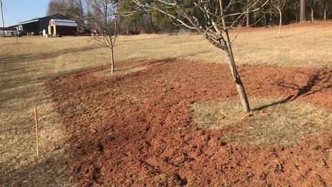 Initial Tillage for Wildflower Meadow Garden Under Fruit Orchard