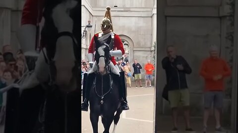 Ladies and gentlemen get out of the box #horseguardsparade