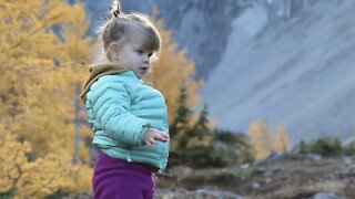 Kid Makes Hilarious Sounds To Keep Bears Away