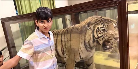 Ye Hai Real Tiger 😲 Kya Hua eske Sath ?