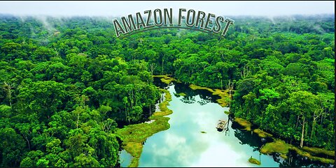 AMAZON FOREST, (This Is Why You Should Never Be Alone In the Amazon)