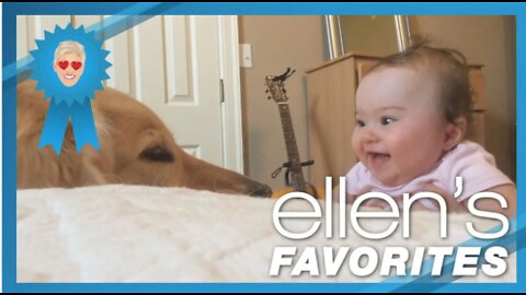 Ellen's Favorite Babies Laughin