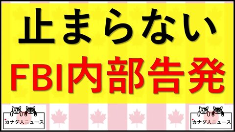 8.25 止まらないFBI内部告発