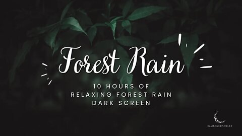 😴 Fall Asleep Fast 😴 - Forest Rain | Dark Screen | White Noise | 10 Hours