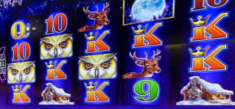 MORE AMAZING TIMBERWOLF DELUXE WINS #slotman #casino #slots #tiktok #timberwolfdeluxe #santaynez