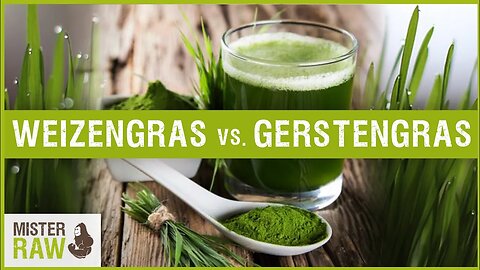 Weizengras vs Gerstengras | Welches der beiden Gräser ist besser und wo ist der Unterschied