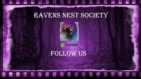 Ravens Nest Society Plays Fallout 4