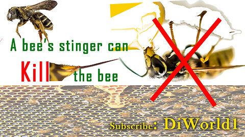 A Honey bee's Stinger can Kill the bee itself