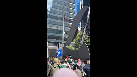 Chicago shows solidarity to a terrorist run Palestinian state