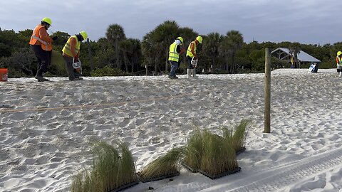 Amazing .. great job 👍 Protect Our Beaches 👌