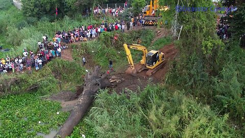 Impressive Excavator And Double Crane Use His Power Recovery Big Tree Sink Deep Water Successfully