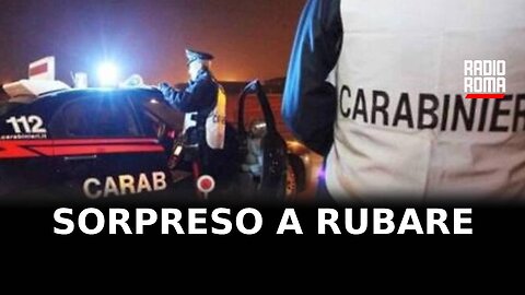 Sorpreso a rubare in tabaccheria, arrestato 18enne