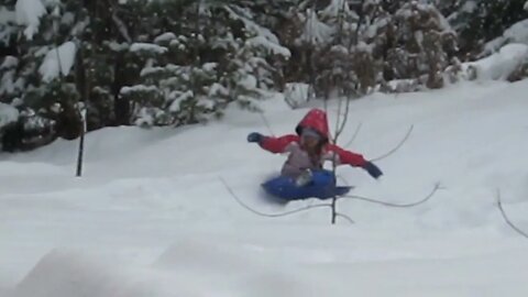 Sledding from the tipi to the woodshed