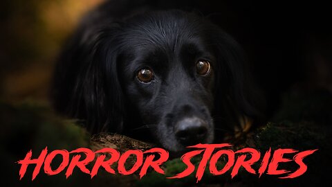 3 Horrifying Stories Where Dogs Saved the Day