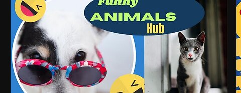 animal funny video 🤣