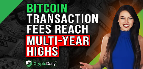 BTC Fees Reach Multi-Year Highs, Crypto Daily TV 8/5/2023