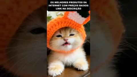 gatinho com touca de coelho