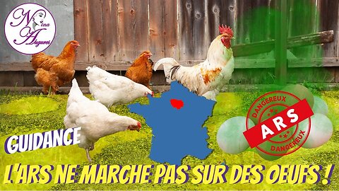 L'ARS ne marche pas sur des oeufs ! 28/04/2023