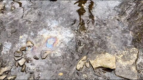 Sen JD Vance Shows The Chemicals In East Palestine, OH Creek