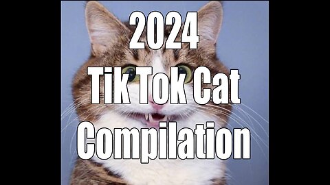 🐈 2024 Tik Tok Cat Compilation 🐱 WHEN THE PURR HITS JUST RIGHT 🐈🐱