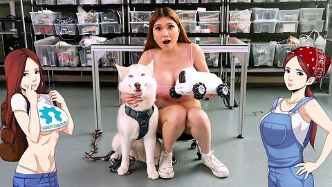 Husky Reviews the Pumpkii Pet Robot!